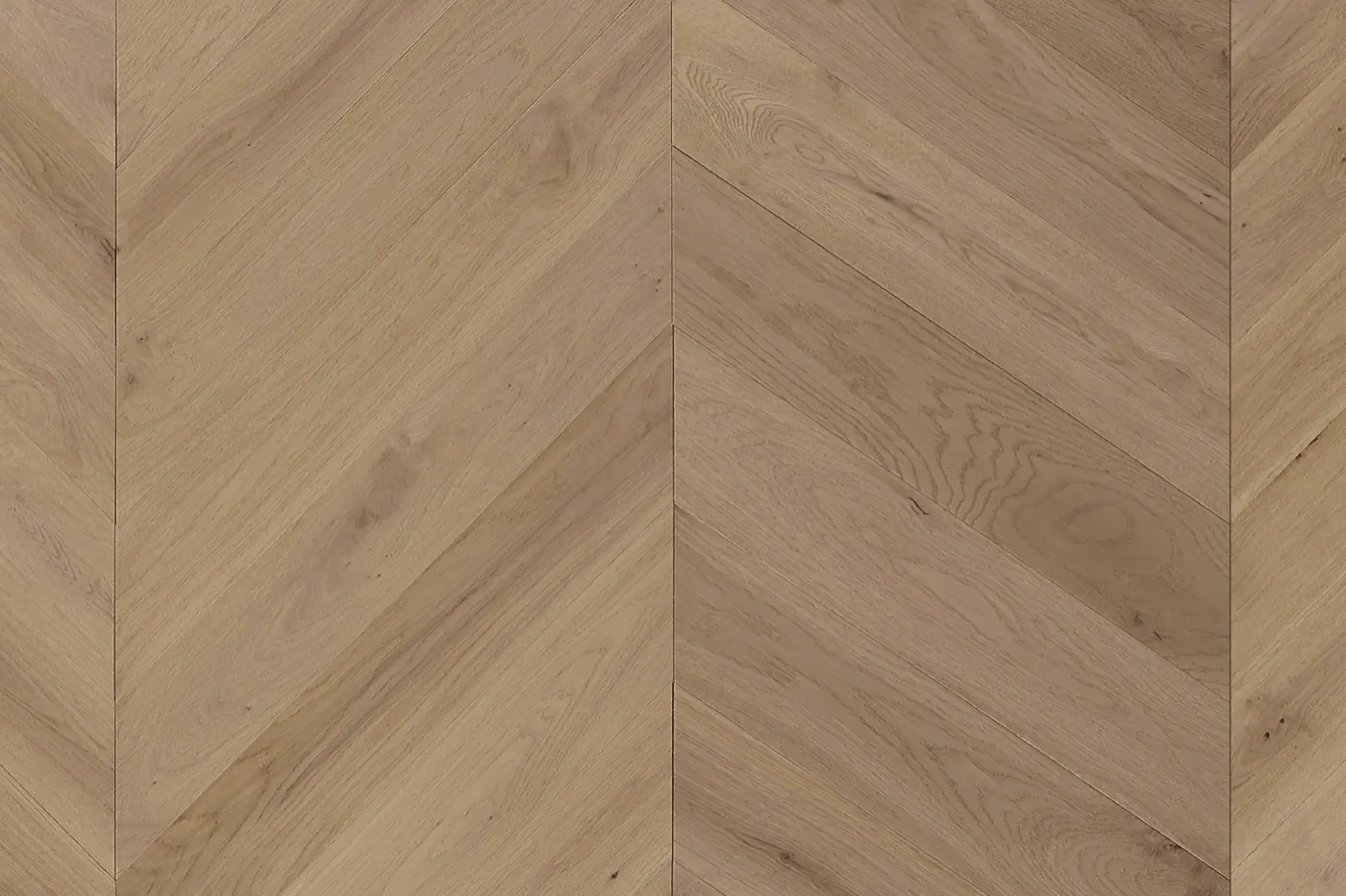 Cavallo Bianco British Oak Natural engineered timber flooring colour swatch