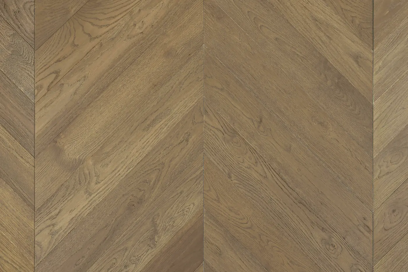 Cavallo Bianco Truffle Oak engineered timber flooring colour swatch