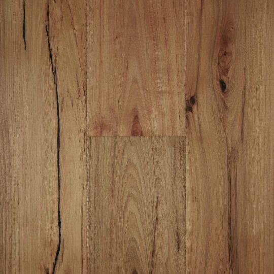 Elk Falls Hickory Rustic Natural engineered timber colour swatch