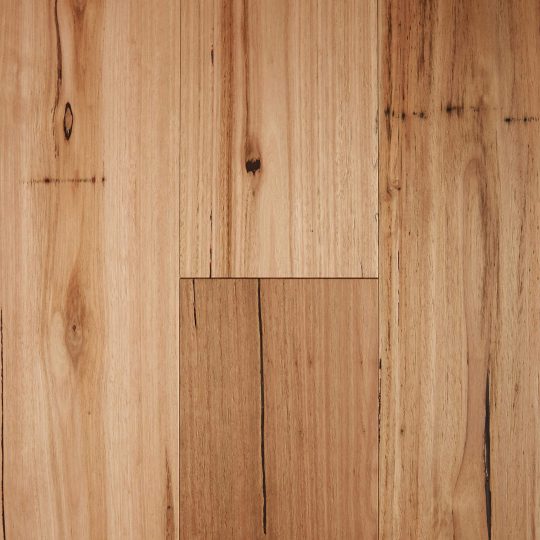 Fiddleback Australian Hardwood Rustic Blackbutt engineered timber colour swatch