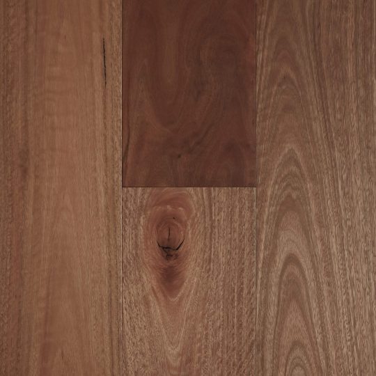 Fiddleback Australian Hardwood Spotted Gum engineered timber colour swatch