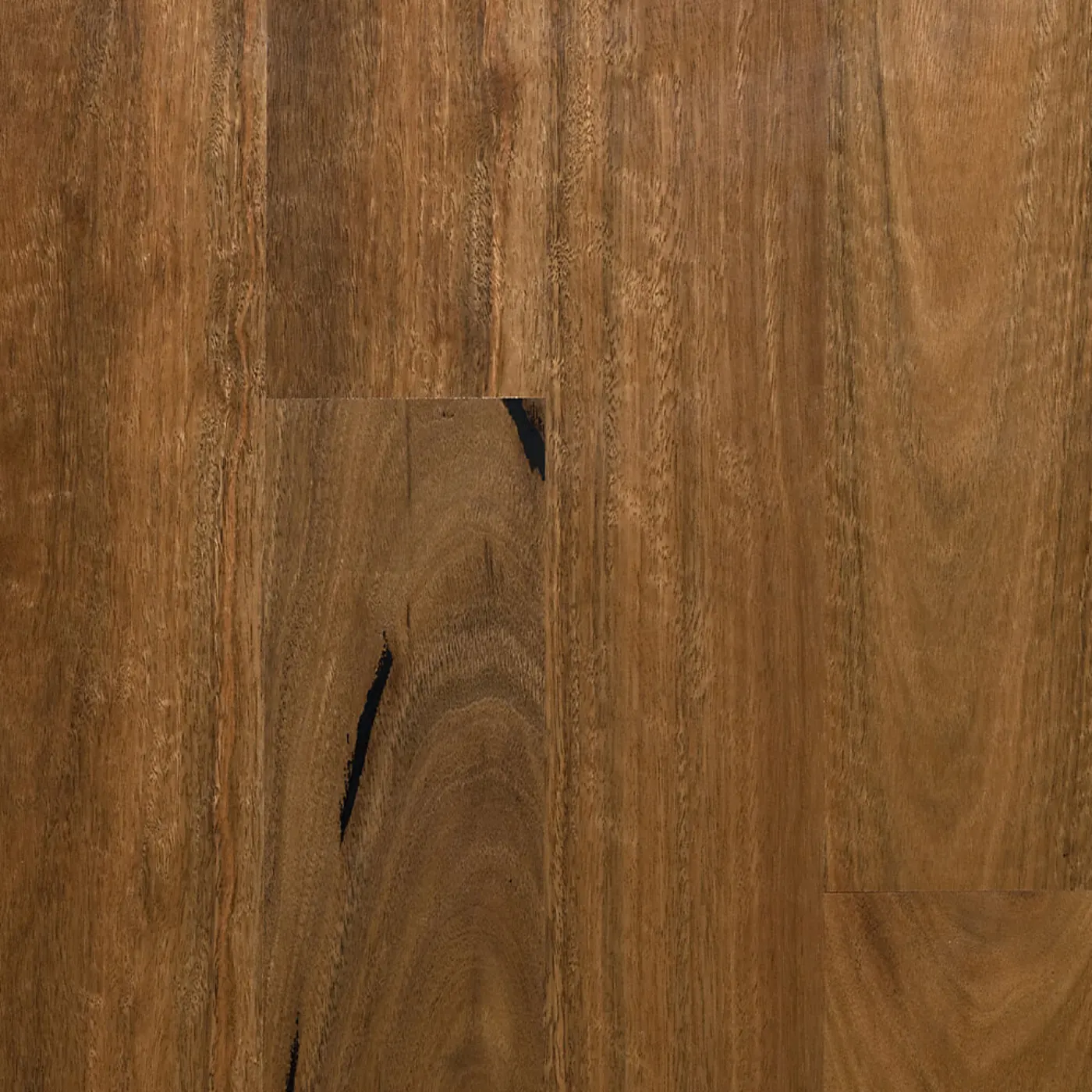 Select Australian Timber MB Spotted Gum engineered timber flooring colour swatch