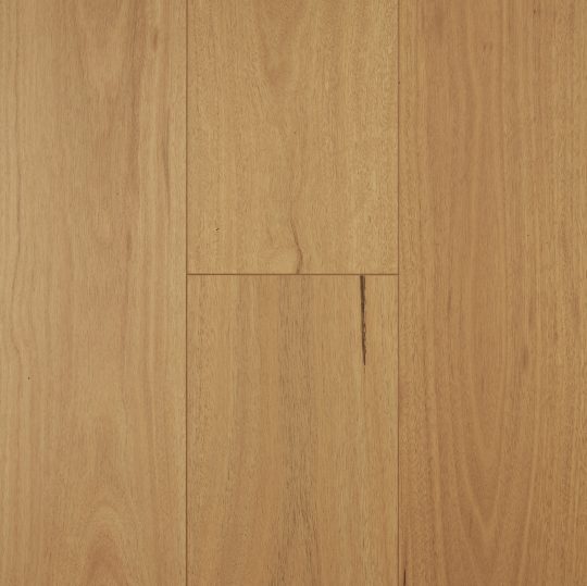 ASPECT Laminate Blackbutt laminate colour swatch