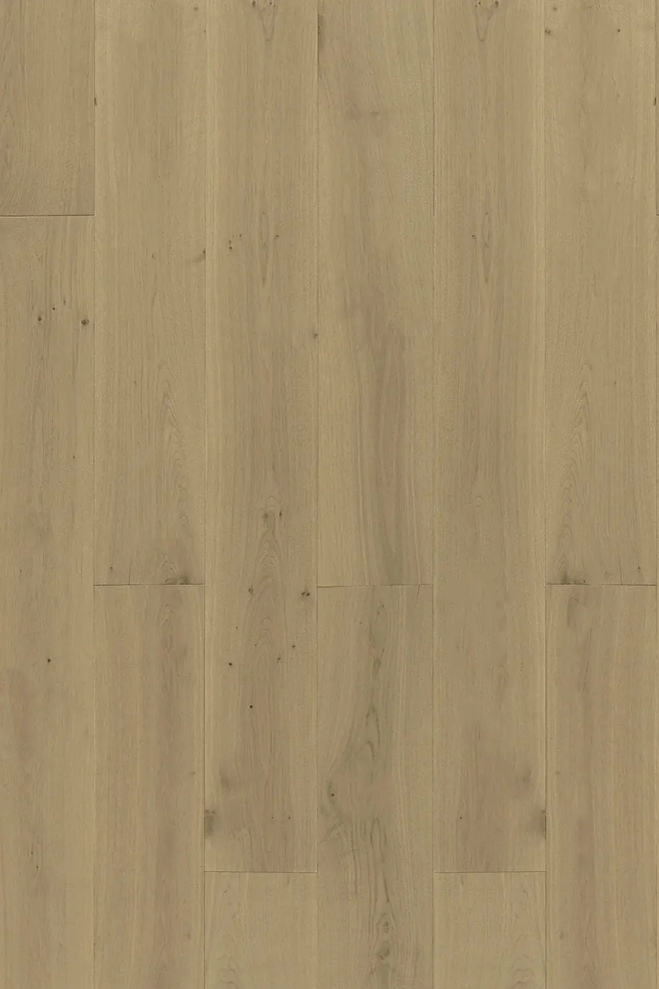 Lavanda Oak Champagne engineered timber flooring product photo