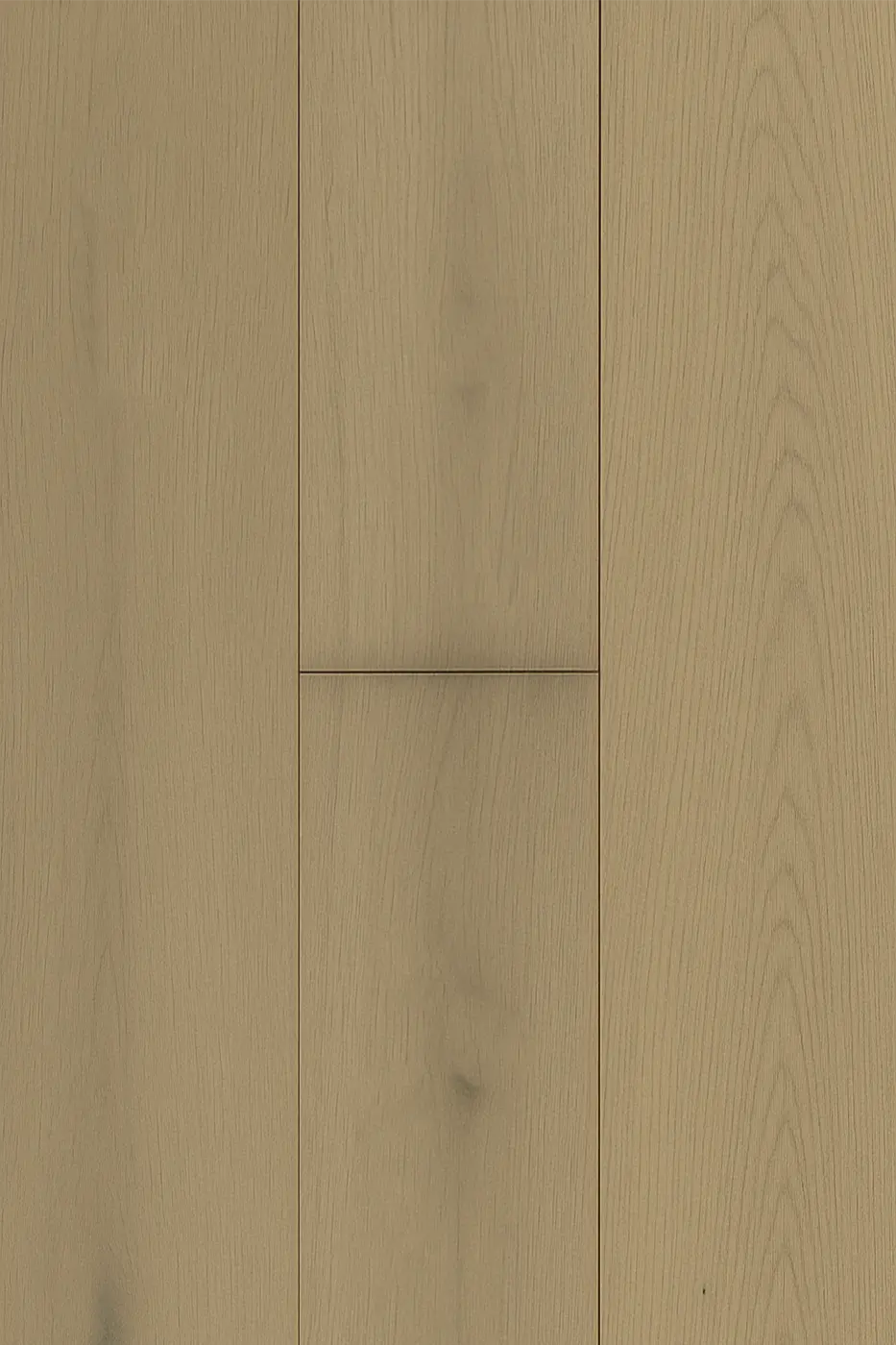 Lavanda Oak Champagne engineered timber flooring colour swatch