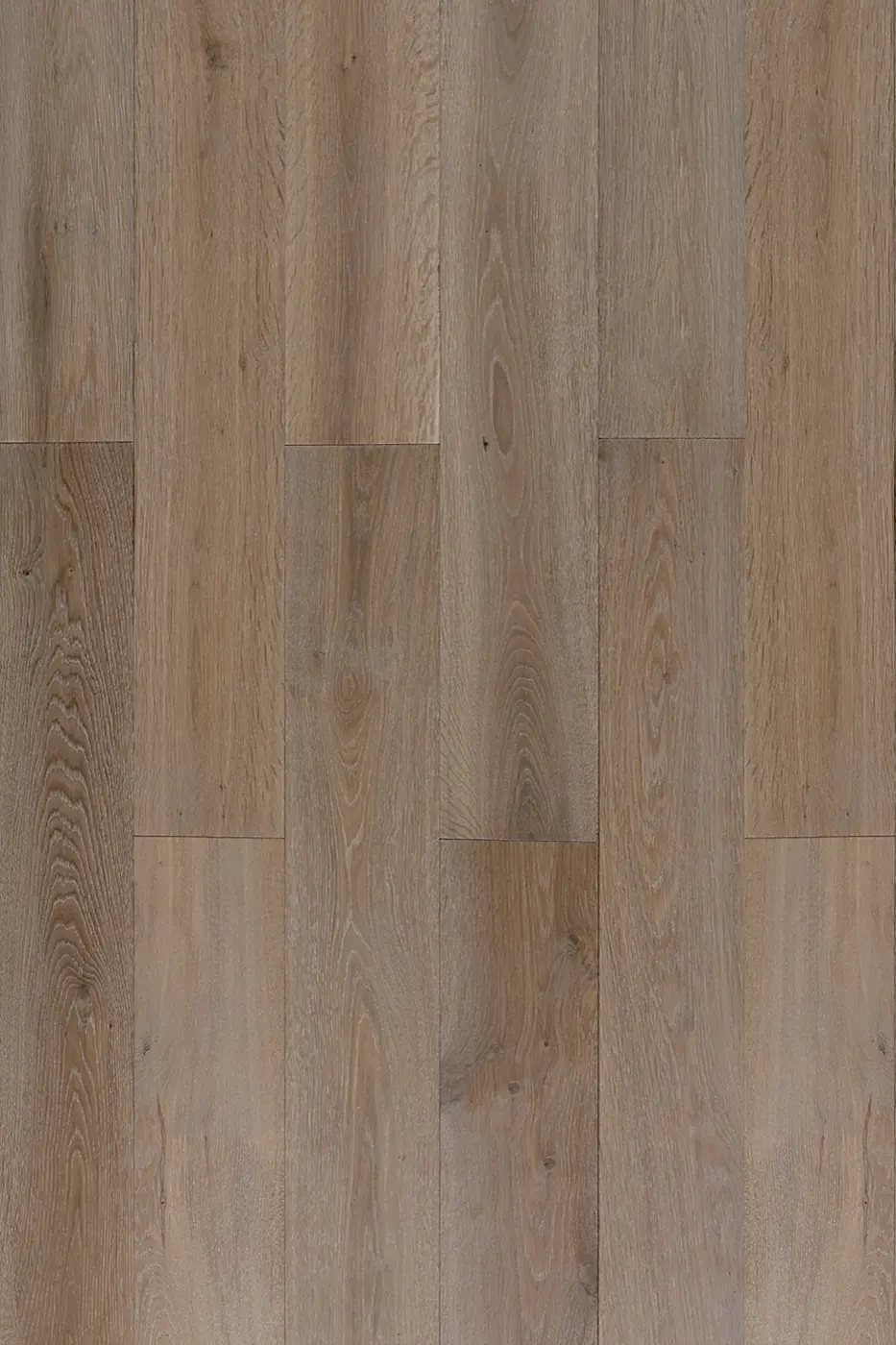 Lavanda Oak Monica Grey engineered timber flooring product photo