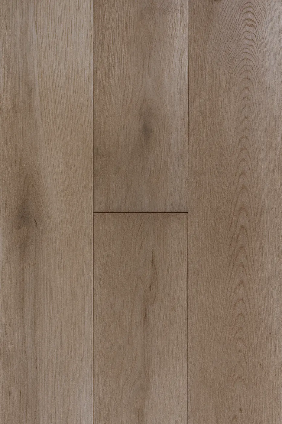 Lavanda Oak Monica Grey engineered timber flooring colour swatch