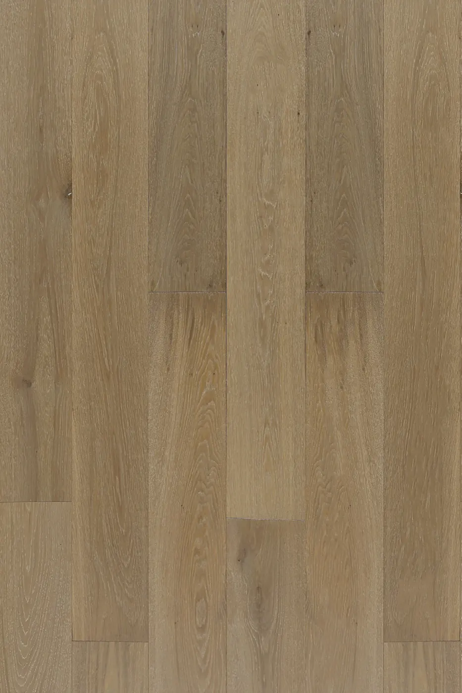 Lavanda Oak Oyster Bay engineered timber flooring product photo