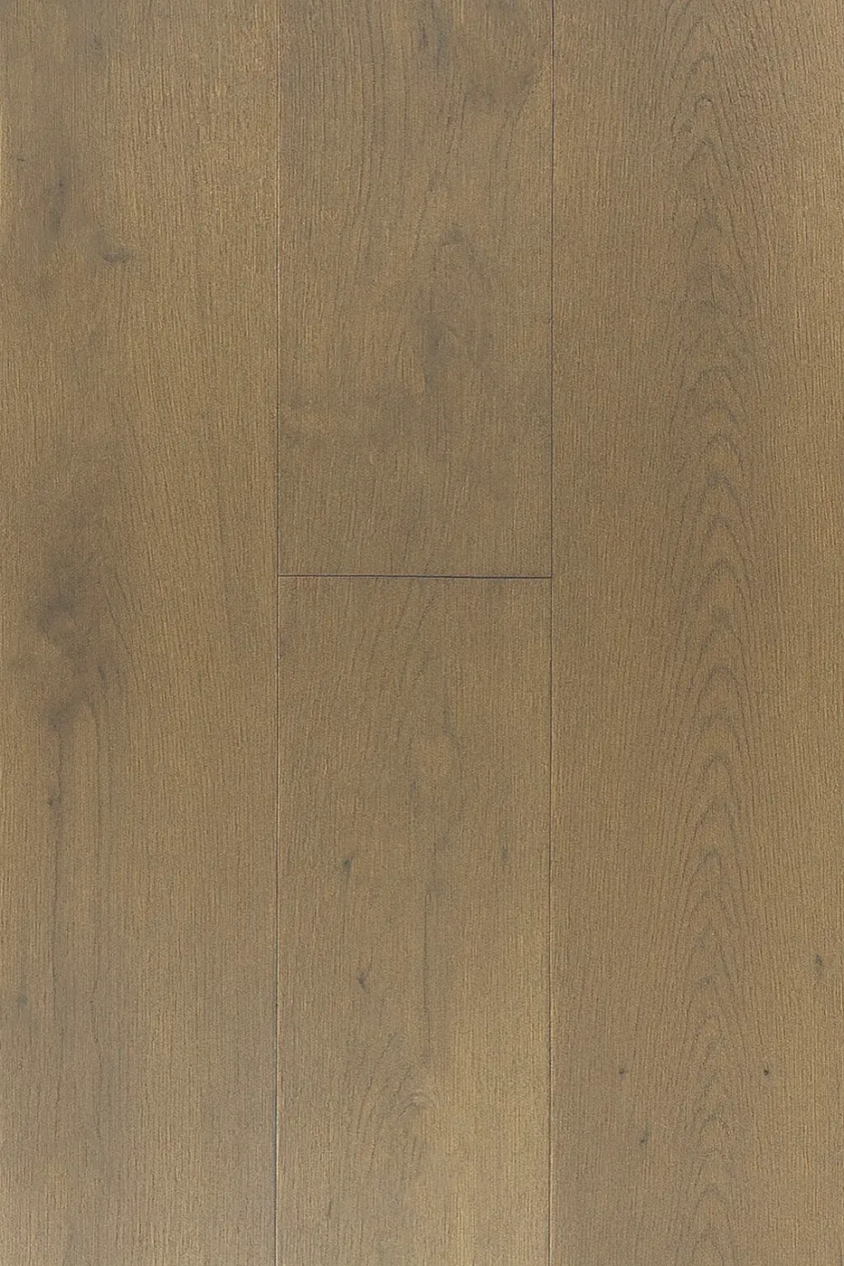 Lavanda Oak Oyster Bay engineered timber flooring colour swatch