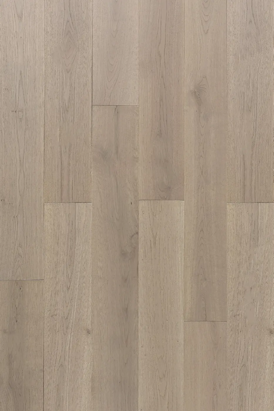 Lavanda Oak Panania Oak engineered timber flooring product photo