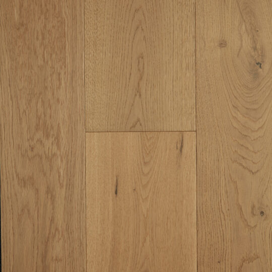 Prestige Oak Champagne engineered timber colour swatch