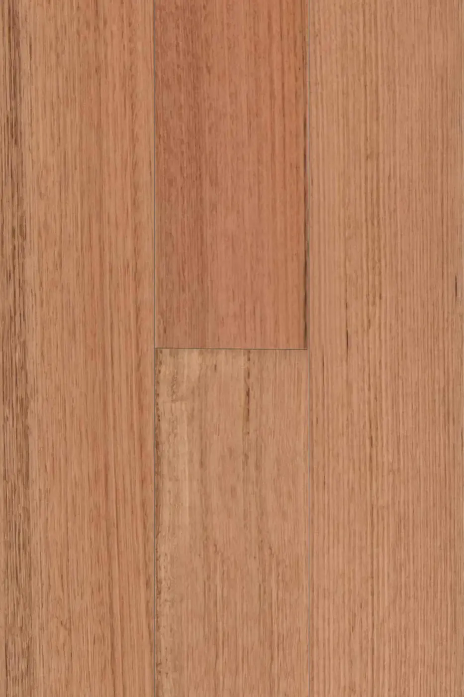 Wooden-Land Australian Species 136mm Tasmanian Oak (136mm) engineered timber flooring colour swatch