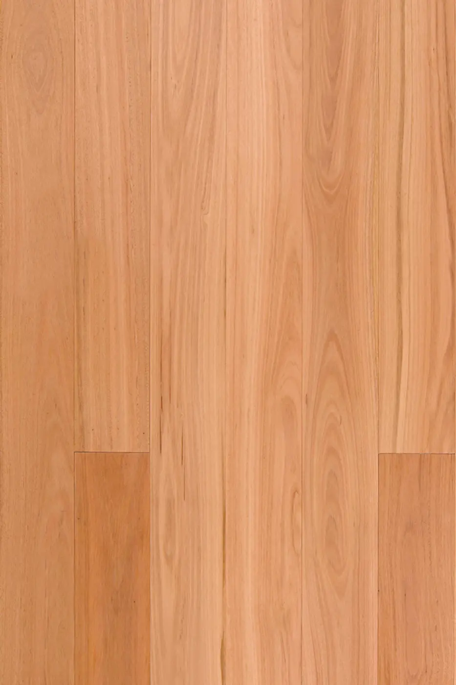 Wooden-Land Australian Species 190mm Blackbutt (190mm) engineered timber flooring product photo