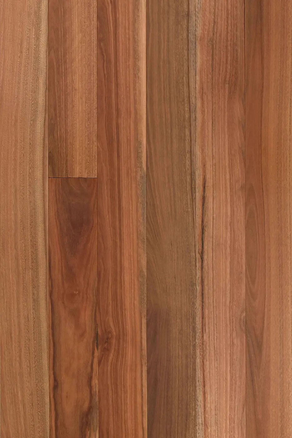 Wooden-Land Australian Species 190mm Spotted Gum (190mm) engineered timber flooring product photo