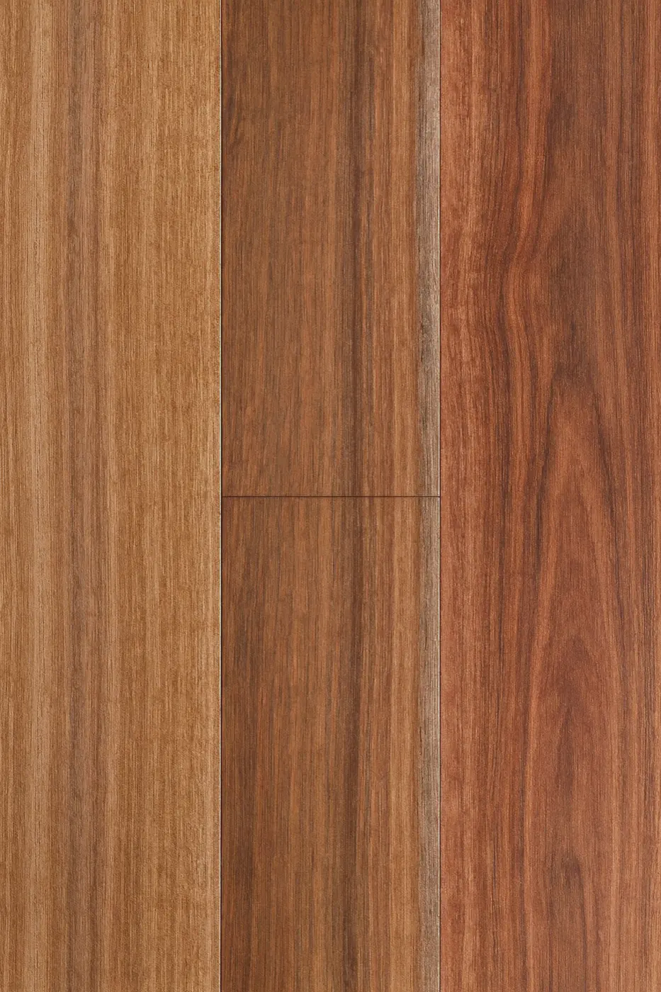 Wooden-Land Australian Species 190mm Spotted Gum (190mm) engineered timber flooring colour swatch