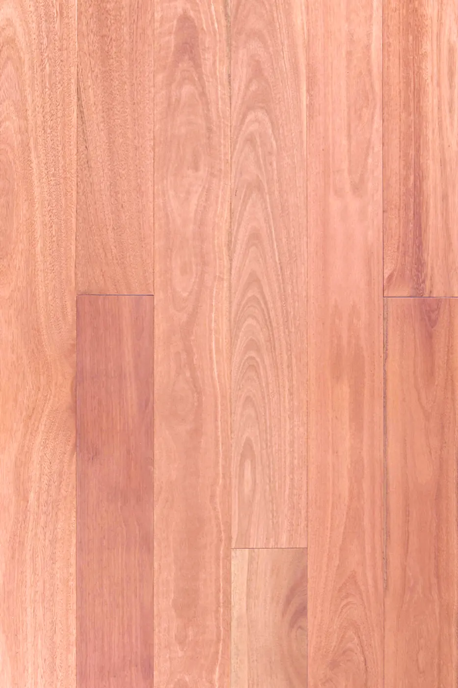 Wooden-Land Australian Species 190mm Sydney Blue Gum (190mm) engineered timber flooring product photo