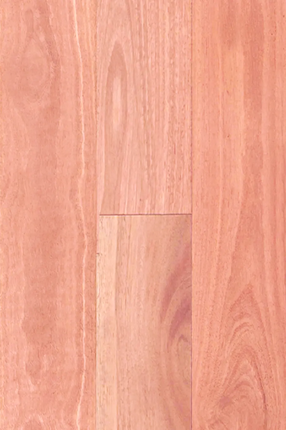 Wooden-Land Australian Species 190mm Sydney Blue Gum (190mm) engineered timber flooring colour swatch