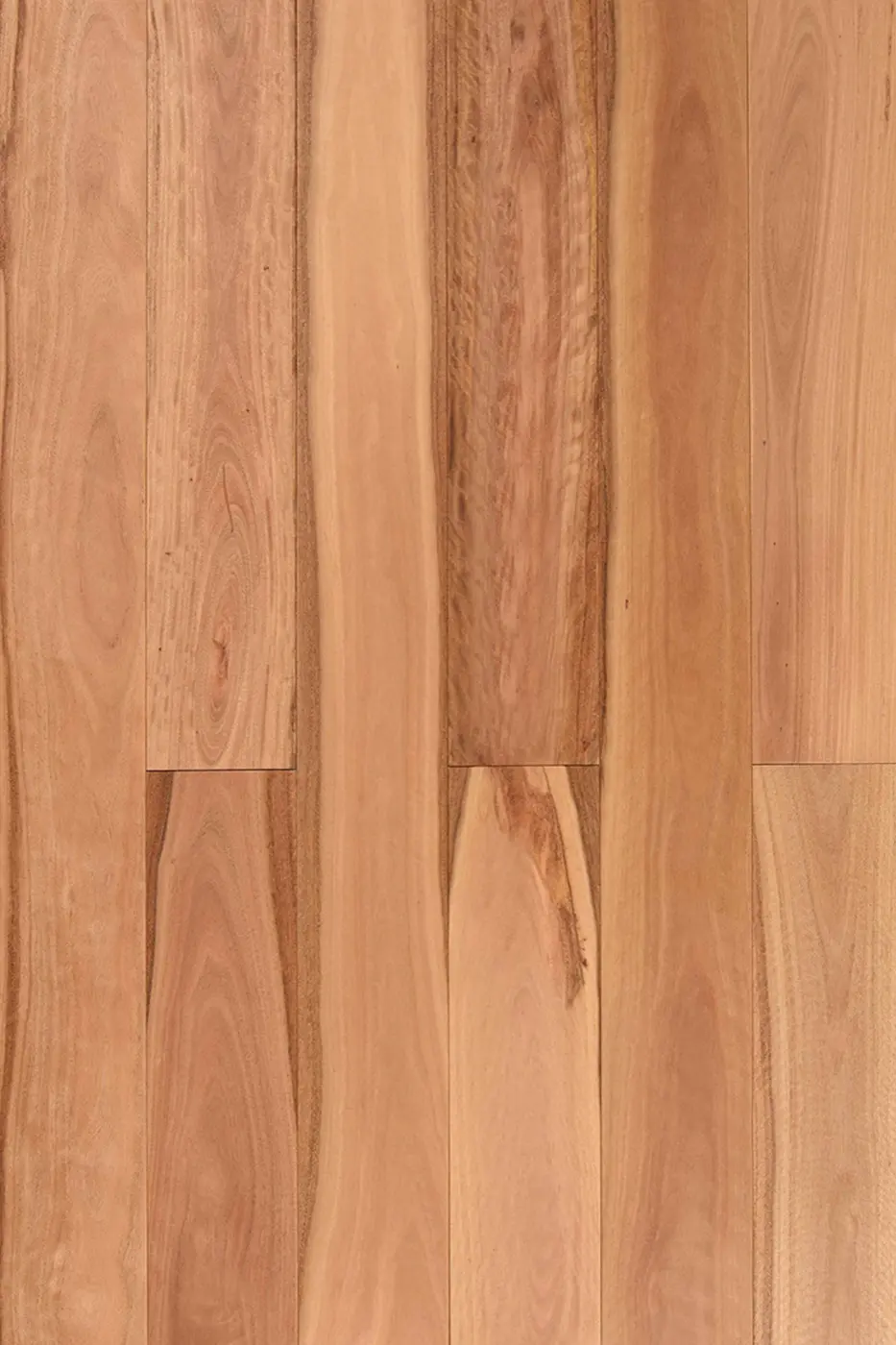 Wooden-Land Foreign Species Pacific Blackbutt engineered timber flooring product photo
