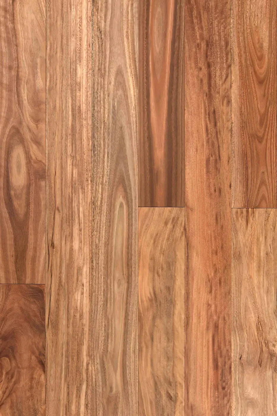 Wooden-Land Foreign Species Pacific Spotted Gum engineered timber flooring product photo