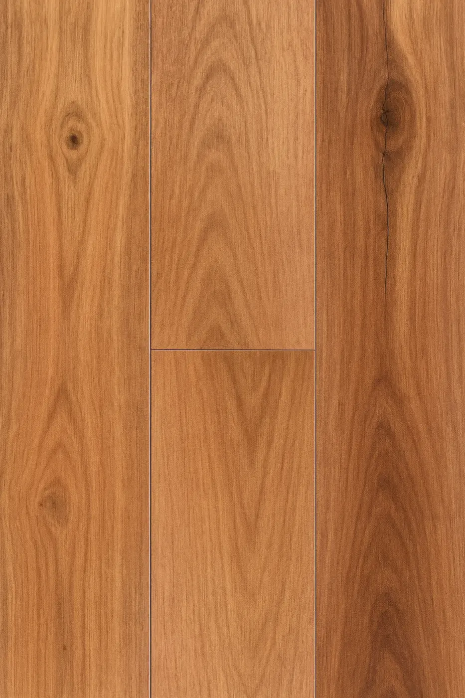 Wooden-Land Foreign Species Pacific Spotted Gum engineered timber flooring colour swatch