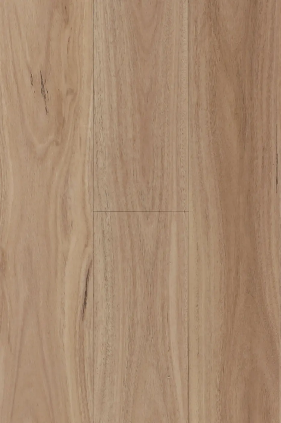 Avala Blackbutt hybrid flooring colour swatch