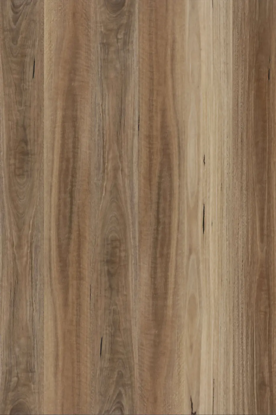 Avala Spotted Gum hybrid flooring product photo