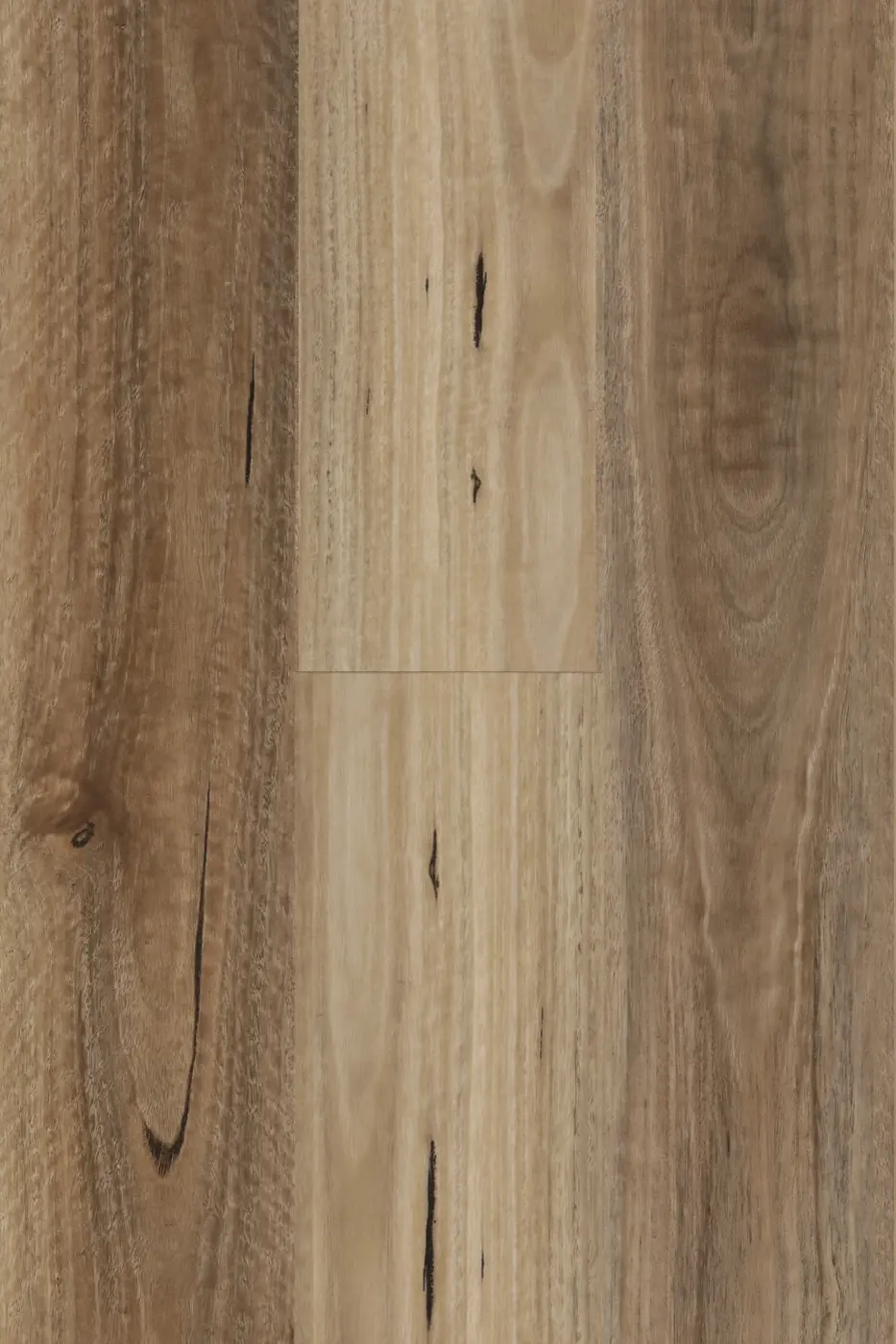 Avala Spotted Gum hybrid flooring colour swatch