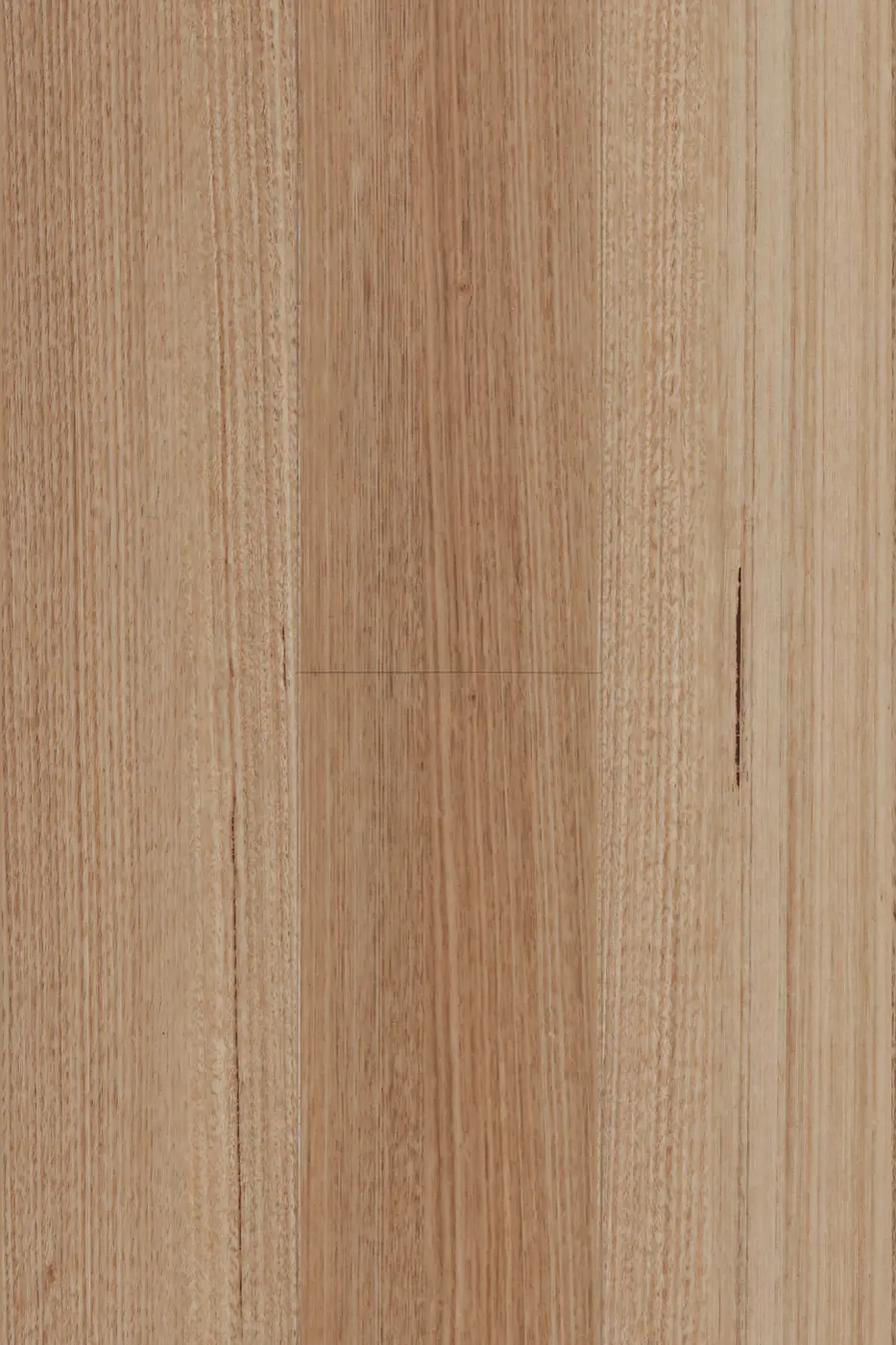Avala Tasmanian Oak hybrid flooring product photo