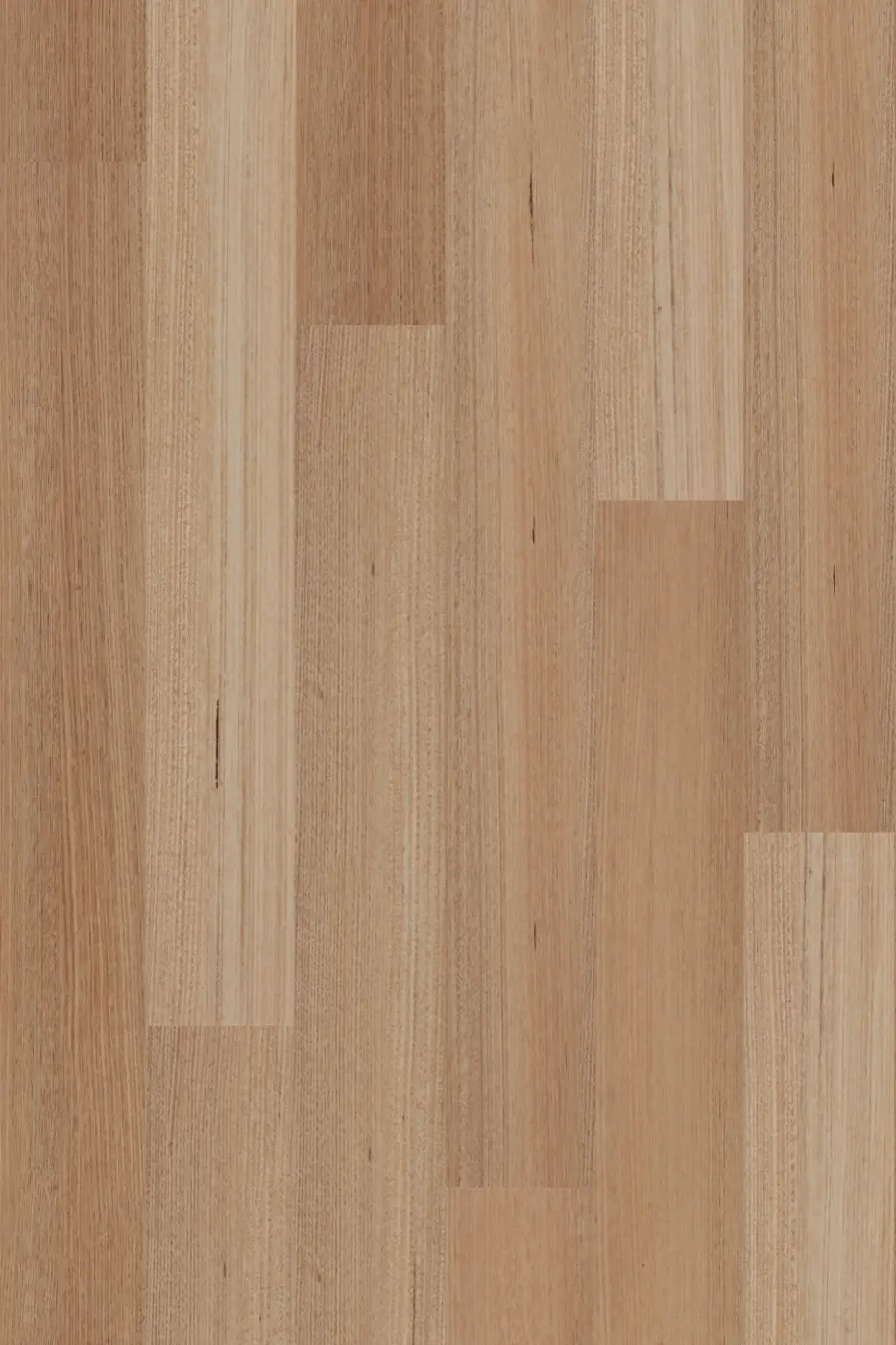 Avala Tasmanian Oak hybrid flooring colour swatch