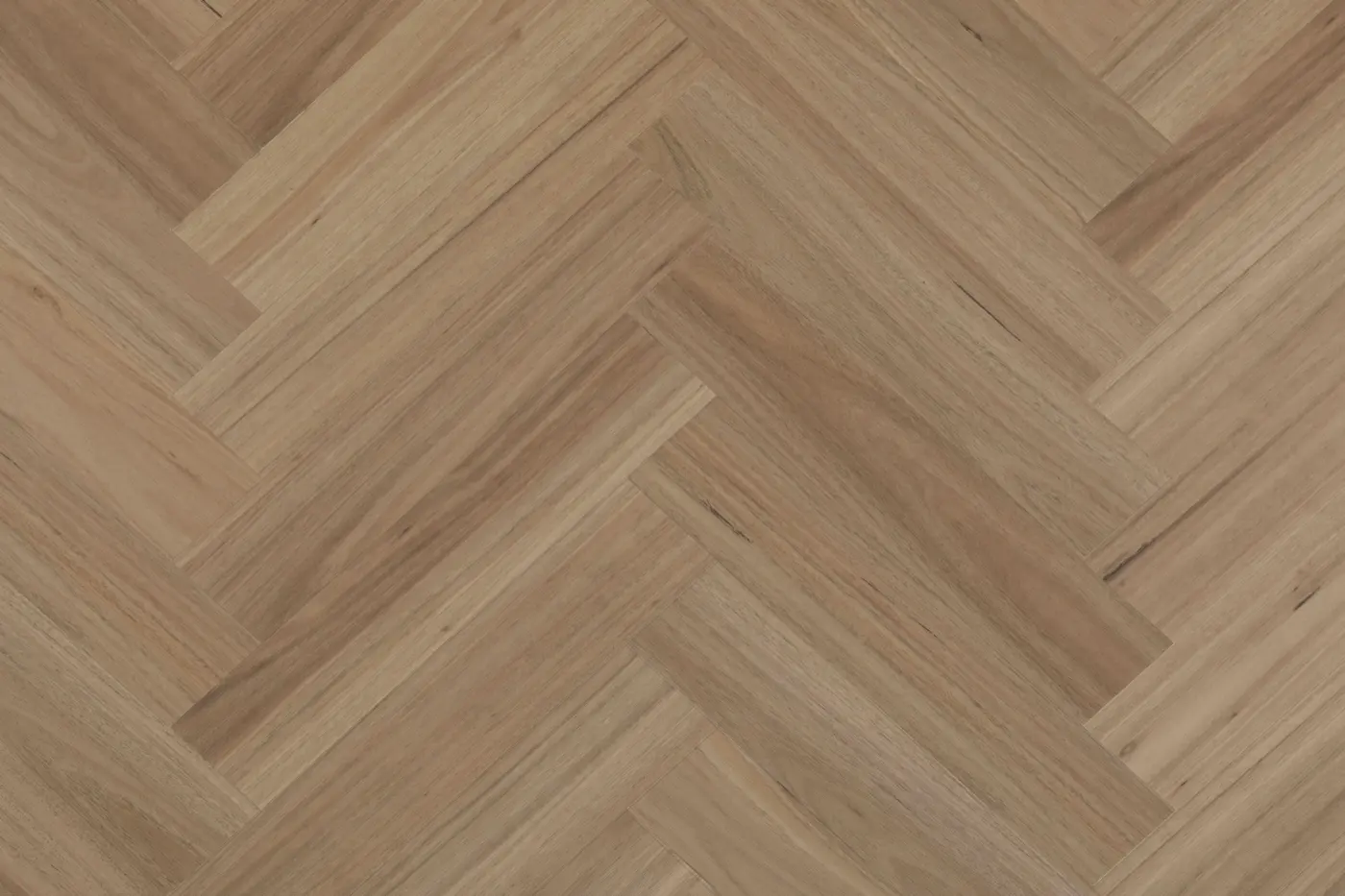 Belle Vie Blackbutt hybrid flooring colour swatch