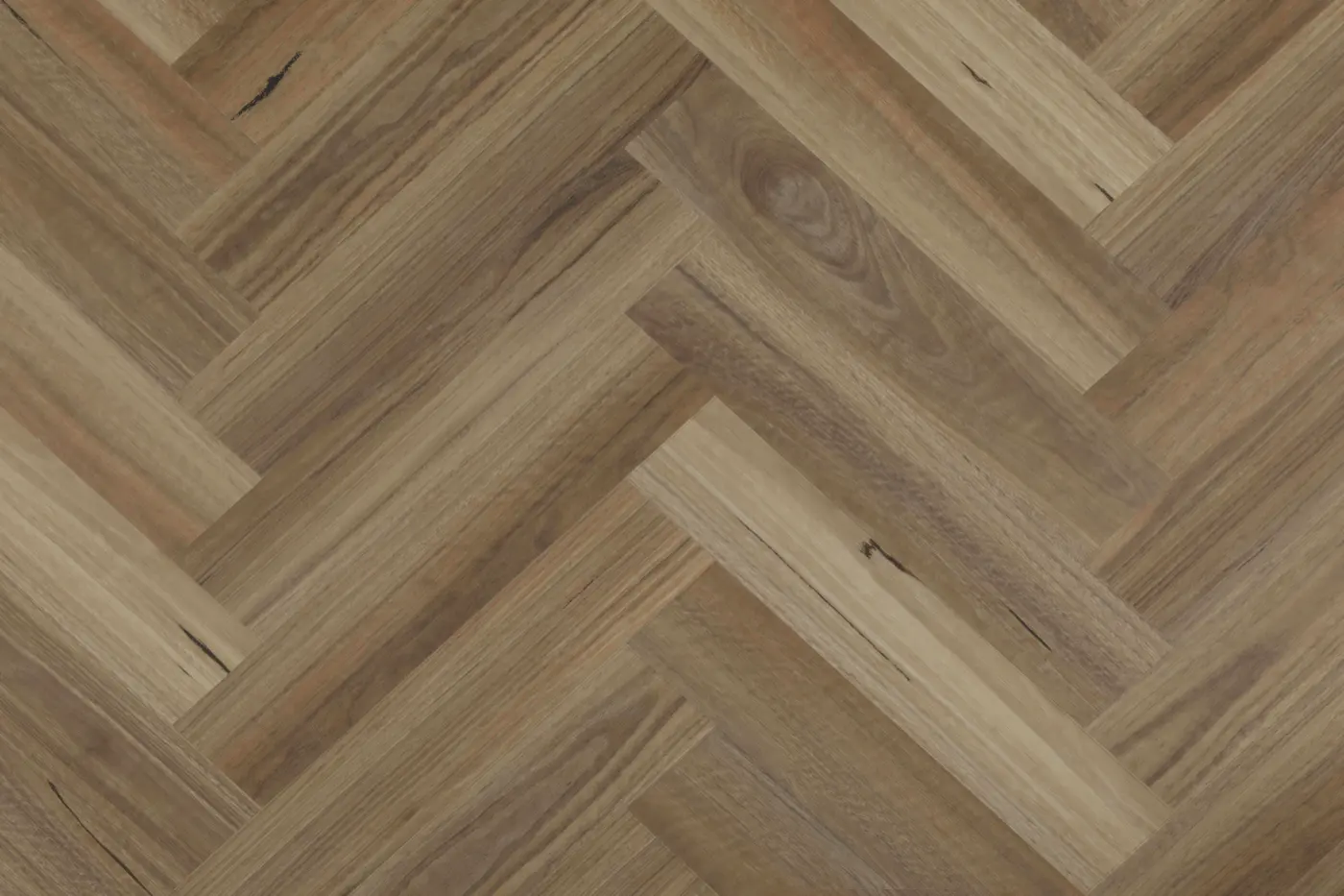 Belle Vie Spotted Gum hybrid flooring colour swatch