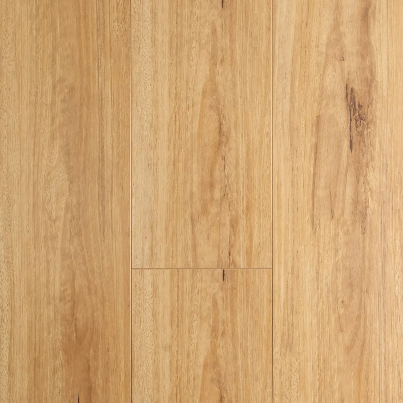 Aspire Coastal Blackbutt hybrid flooring colour swatch