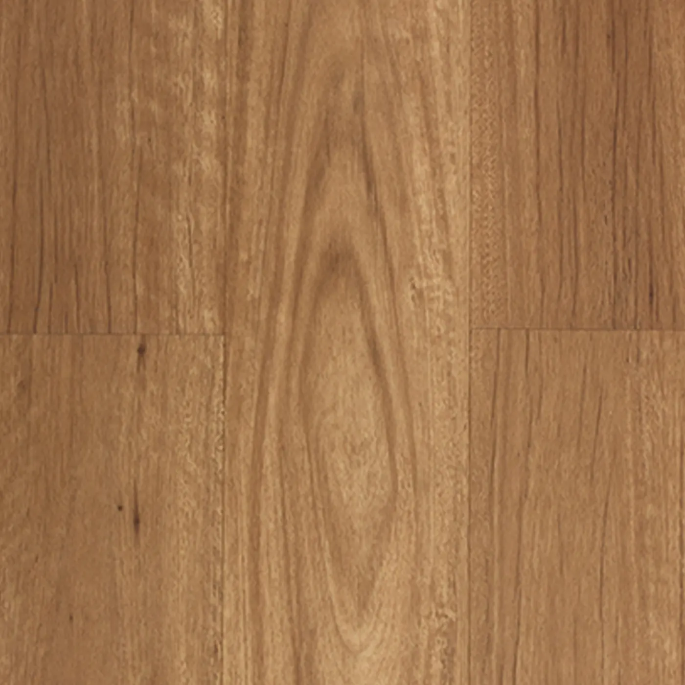 Aspire New England Blackbutt hybrid flooring colour swatch