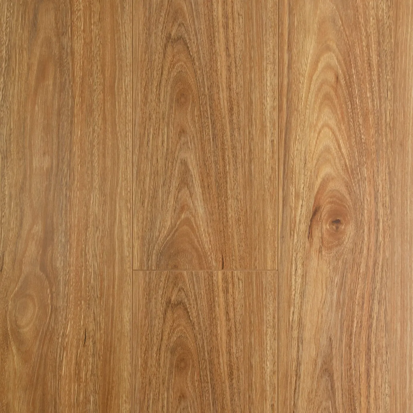 Aspire NSW Spotted Gum hybrid flooring colour swatch
