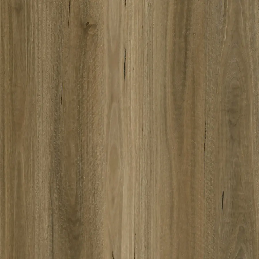 Grande 7.5 Hybrid Raw Spotted Gum 7.5 hybrid flooring colour swatch