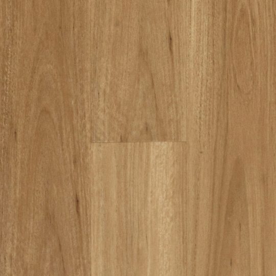 Hydroplank WPC Blackbutt hybrid colour swatch