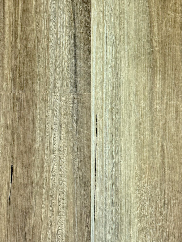 Luxury Hybrid 8mm SPOTTED GUM - 8mm hybrid flooring colour swatch