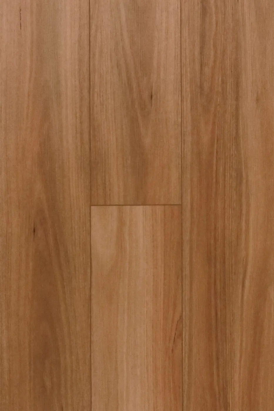 Storm Luxury Coastal Blackbutt hybrid flooring colour swatch