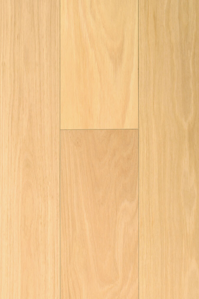 Aqua Wood Plus 12mm Blackbutt P&H laminate flooring colour swatch