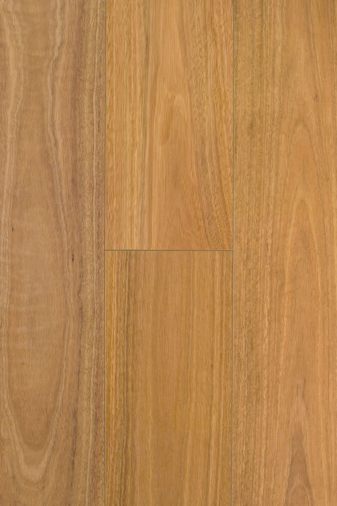 Aqua Wood Plus 12mm Spotted Gum P&H laminate flooring colour swatch
