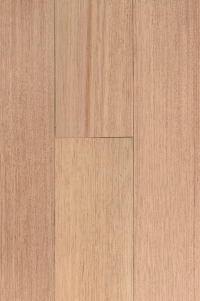 Aqua Wood Plus 12mm Tas Oak laminate flooring colour swatch
