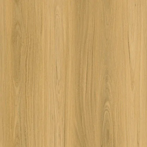 ETF Aquatuff Flooring Coastal Blackbutt laminate flooring colour swatch