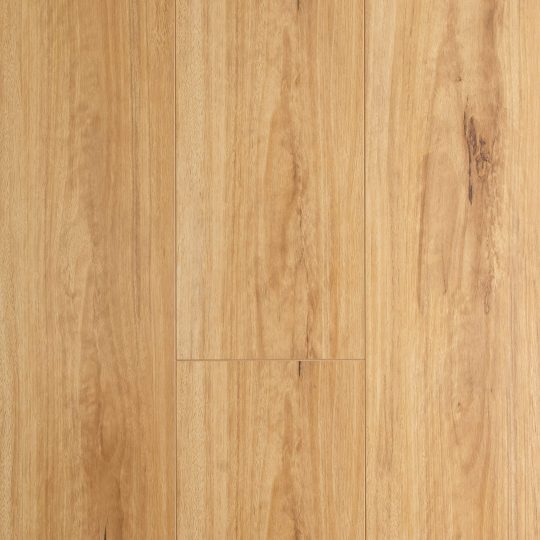Oakleaf Laminate Blackbutt laminate colour swatch