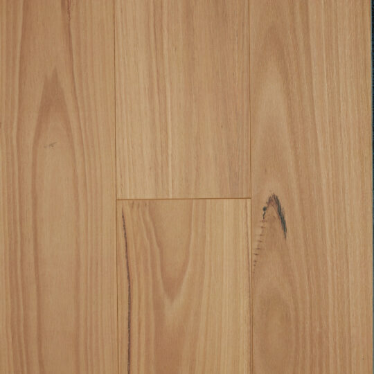 Oakleaf HD PLUS Blackbutt laminate colour swatch