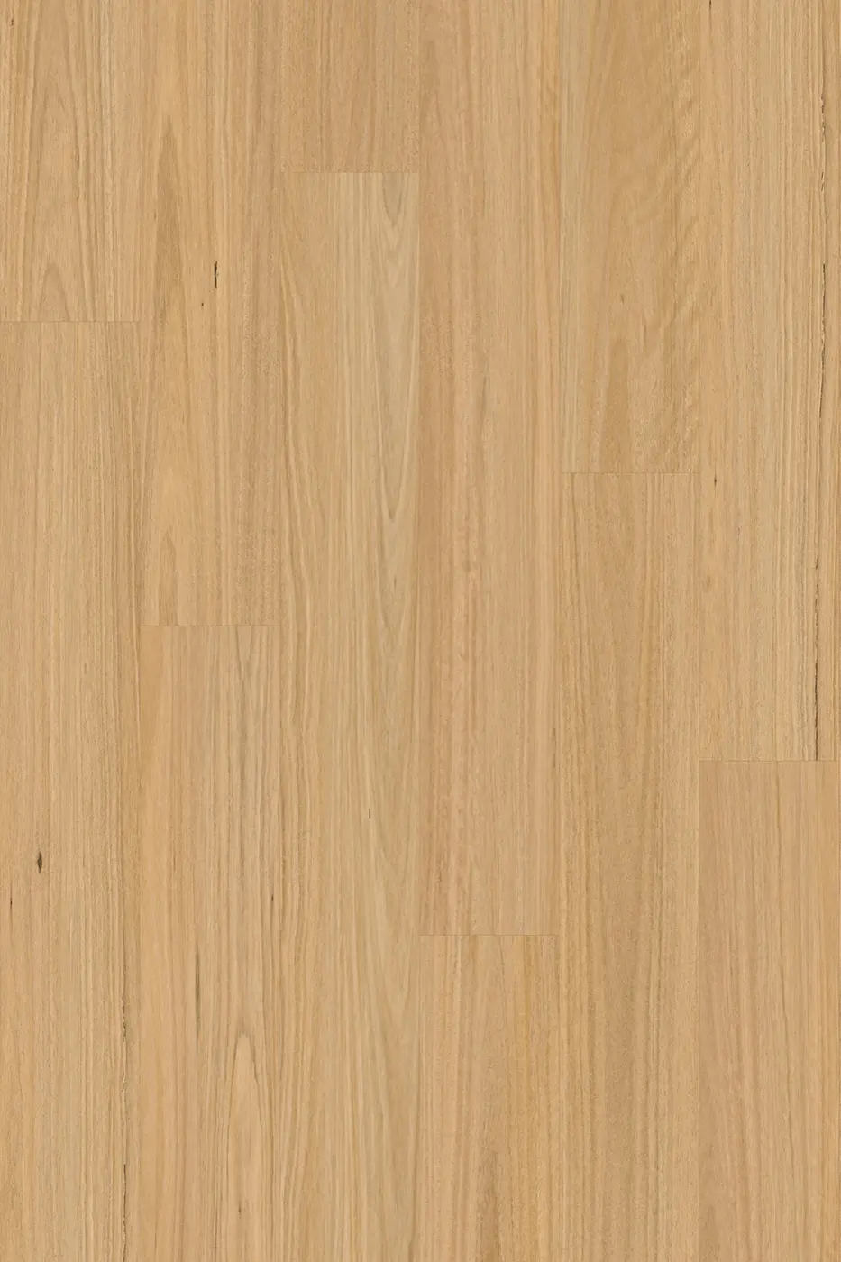 Pantora Amor Blackbutt laminate flooring product photo
