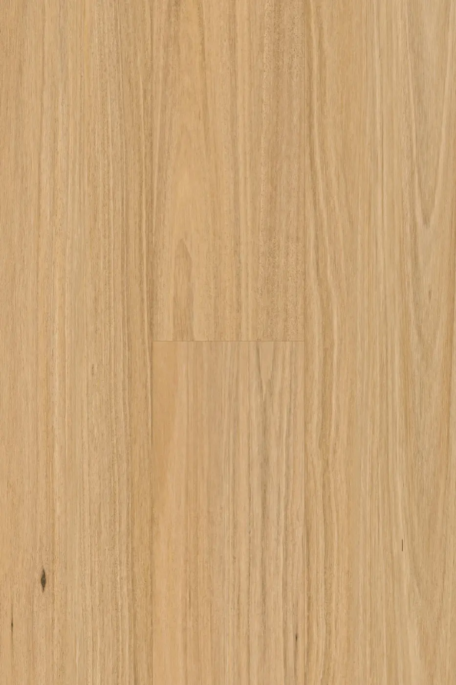 Pantora Amor Blackbutt laminate flooring colour swatch
