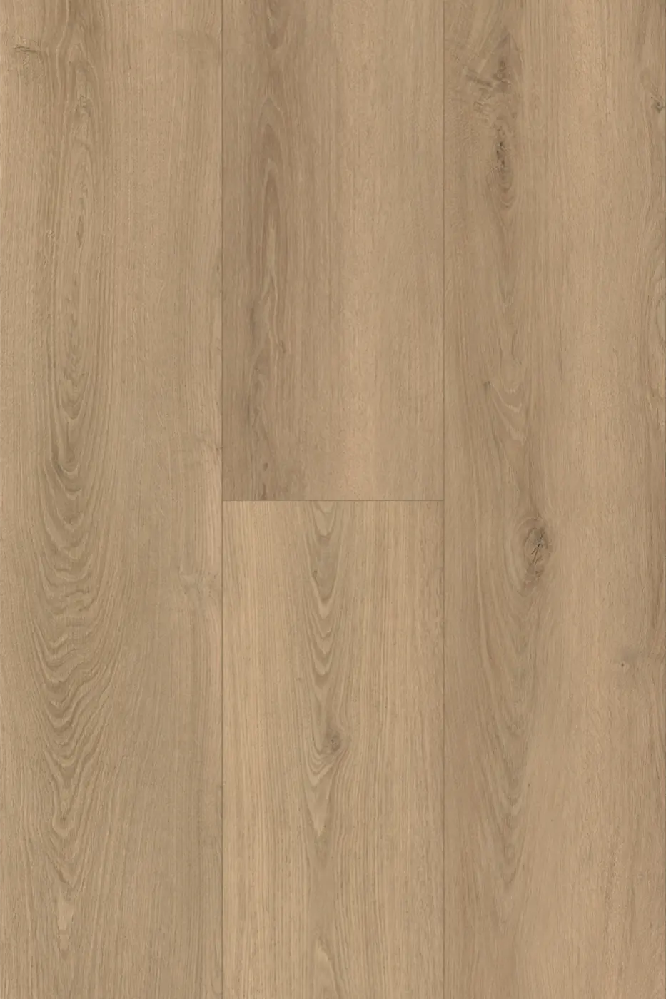 Pantora Amor Moonstone Oak laminate flooring colour swatch