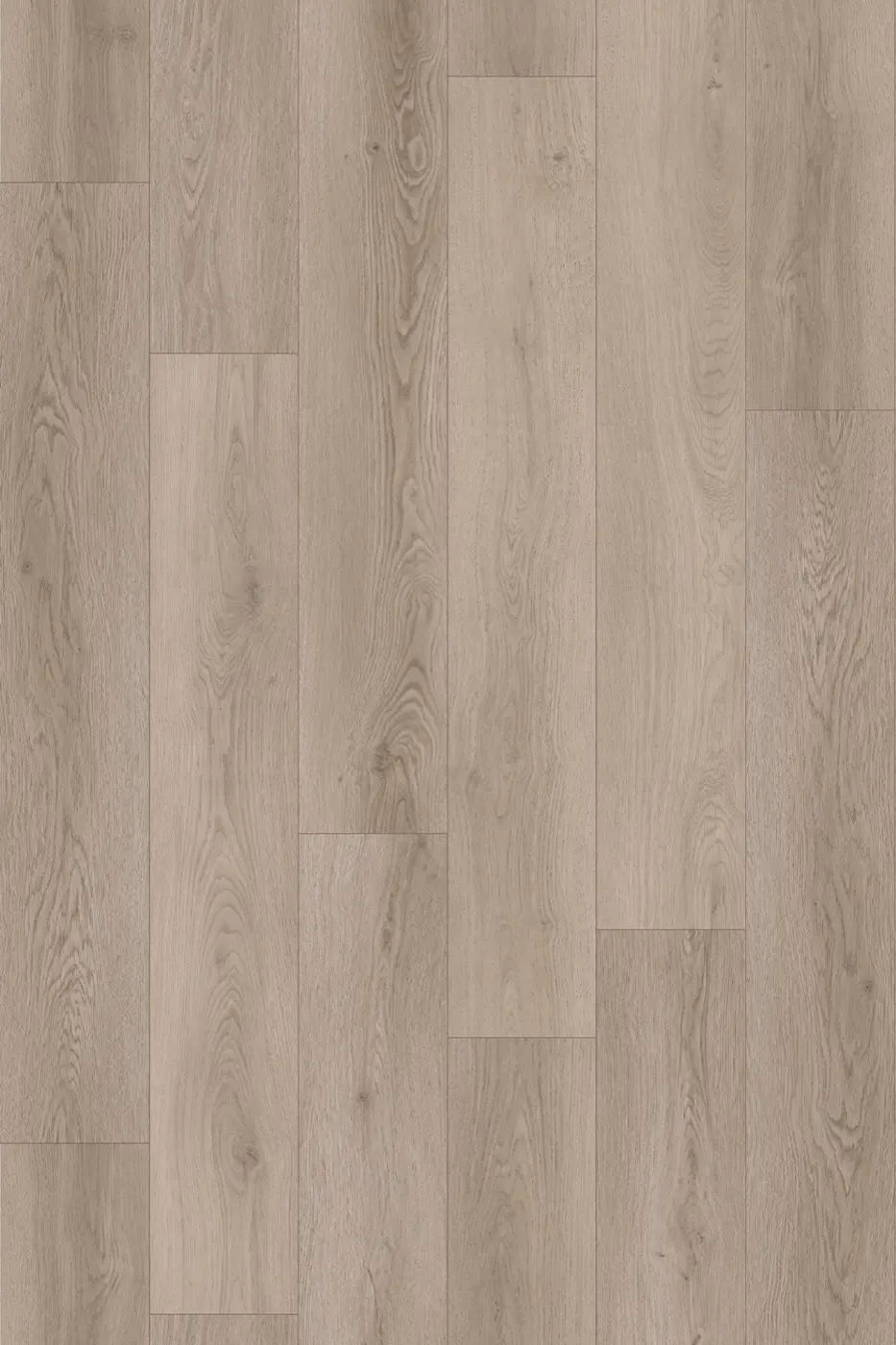 Pantora Amor Silverstone Oak laminate flooring product photo