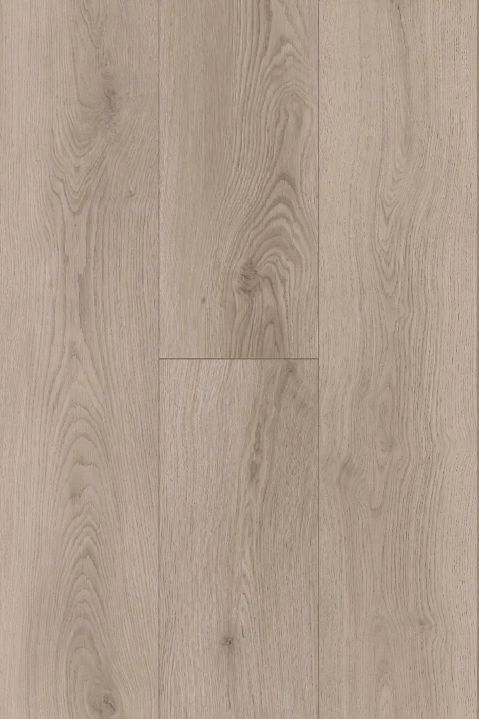 Pantora Amor Silverstone Oak laminate flooring colour swatch