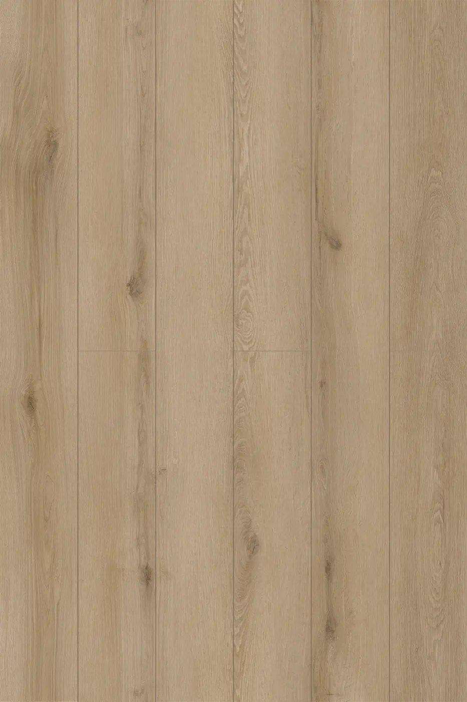 Pantora Lifestyle Almond Oak laminate flooring product photo